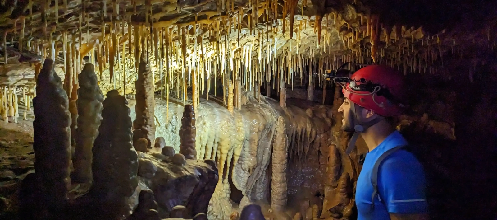 Discovering the underground world