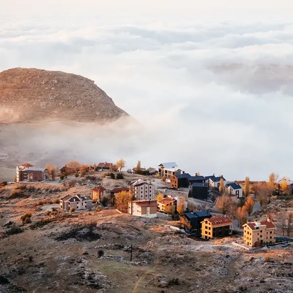 Faraya