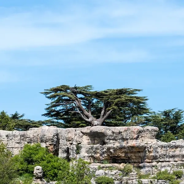 Tannourine El Fawqa