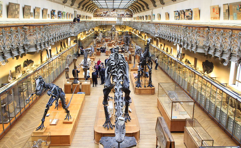 Muséum national d'Histoire naturelle
