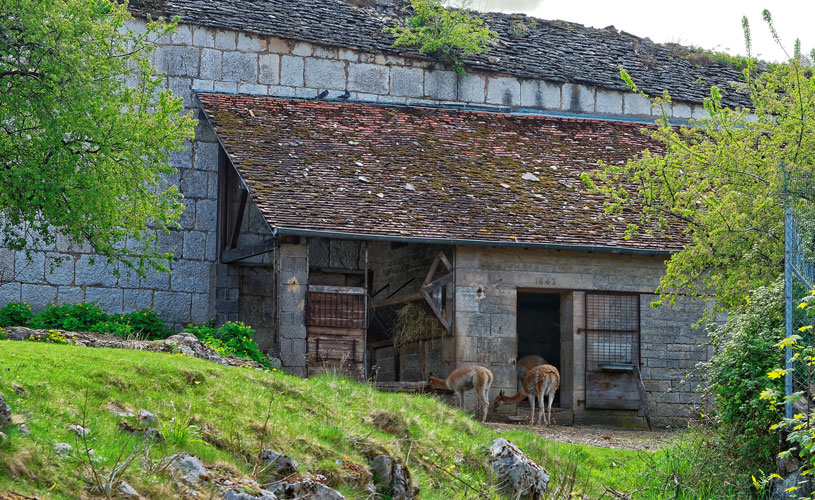 Zoo de Besançon