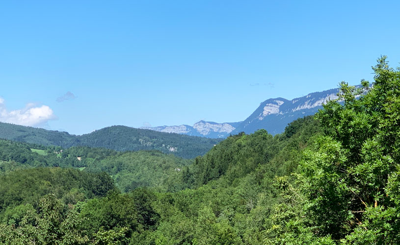 Forêt Domaniale de la Sapine-Côté Belle