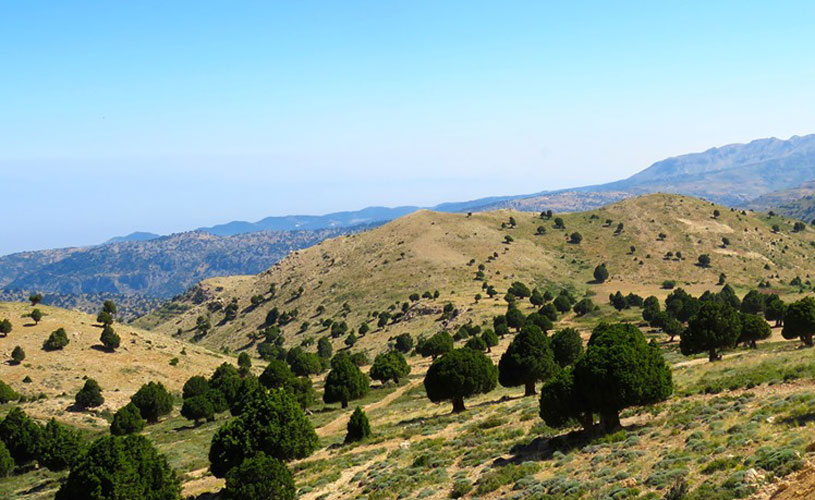 Lazzab Dannieh Nature Reserve