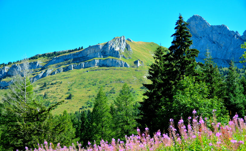 Office de Tourisme de Corrençon en Vercors