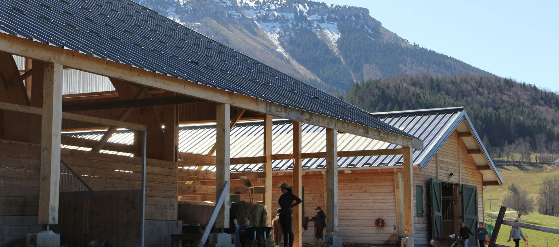 Au Haras du Vercors : équitation et cosmétiques au lait de jument