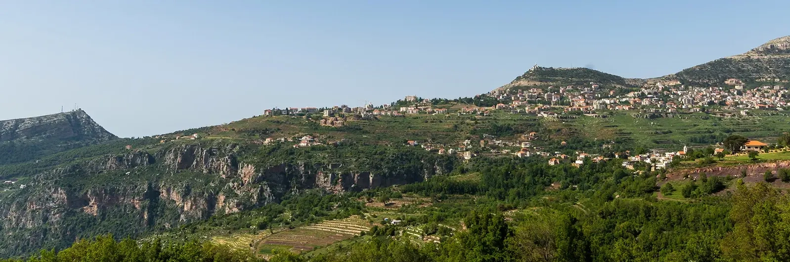 Roy Araygi