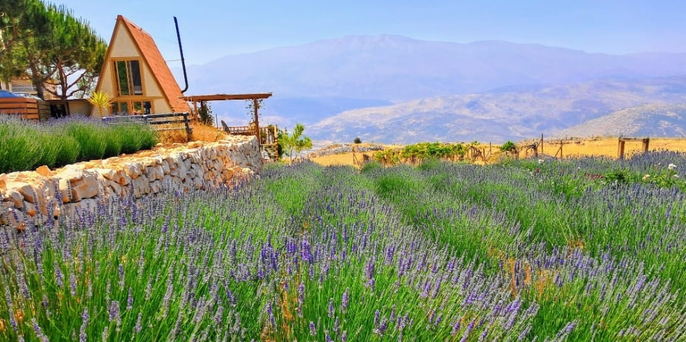 Kfarmishki Lavender Lodge