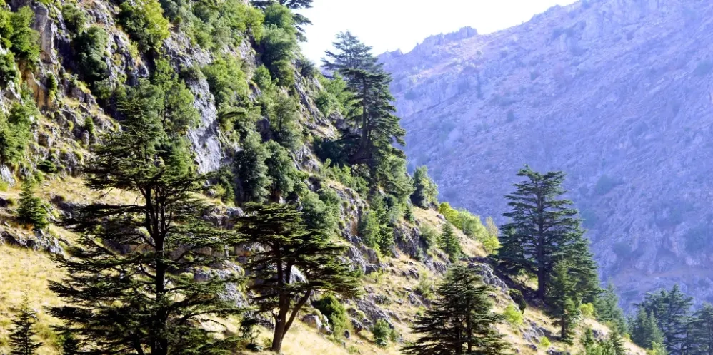 Vallée de Ain el Raha