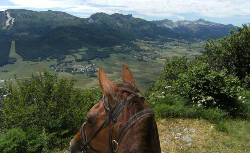 Découvrez le plaisir de monter à cheval dans le Vercors
