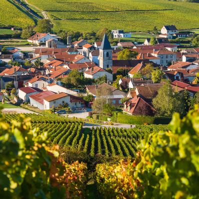 Découvrez l’Aube, au cœur de la Champagne