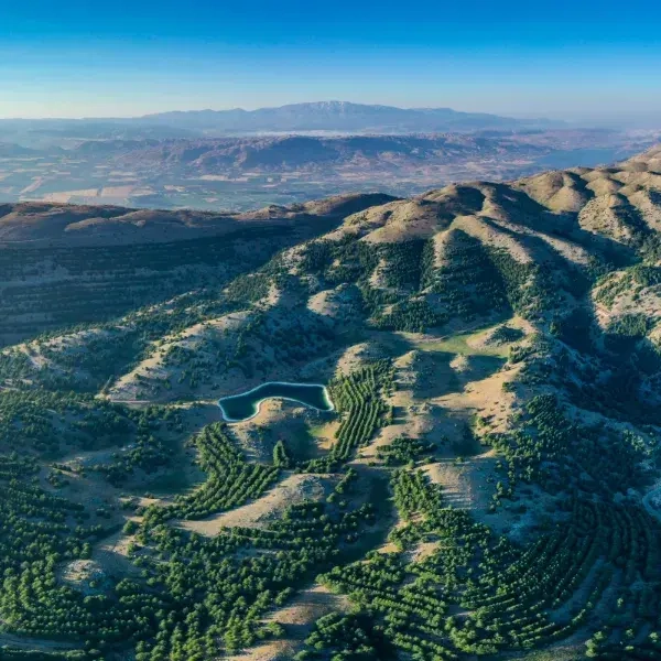 Chouf Region