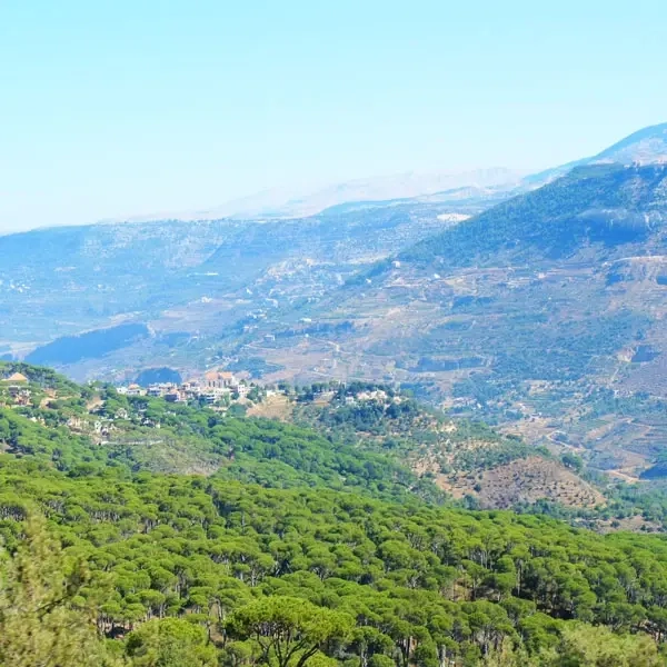 Jezzine District