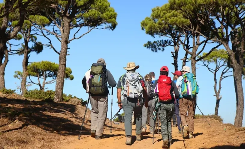 LMT Section 17: From Falougha to Ain Zhalta
