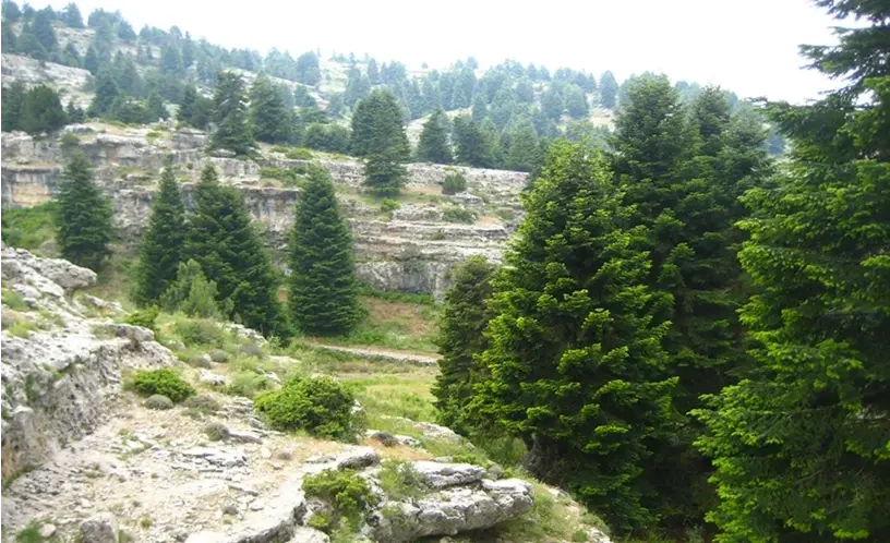 LMT Section 2: From El Qammouaa to el Qemmamine
