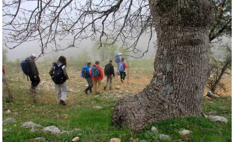 LMT Section 5: From Bqaa Sefrine to Horsh Ehden