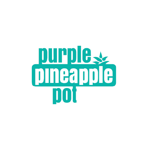 Purple Pineapple Pot