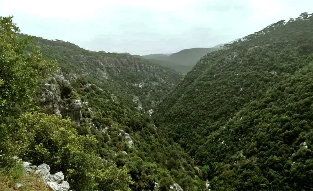 Reserve naturelle du Mtein