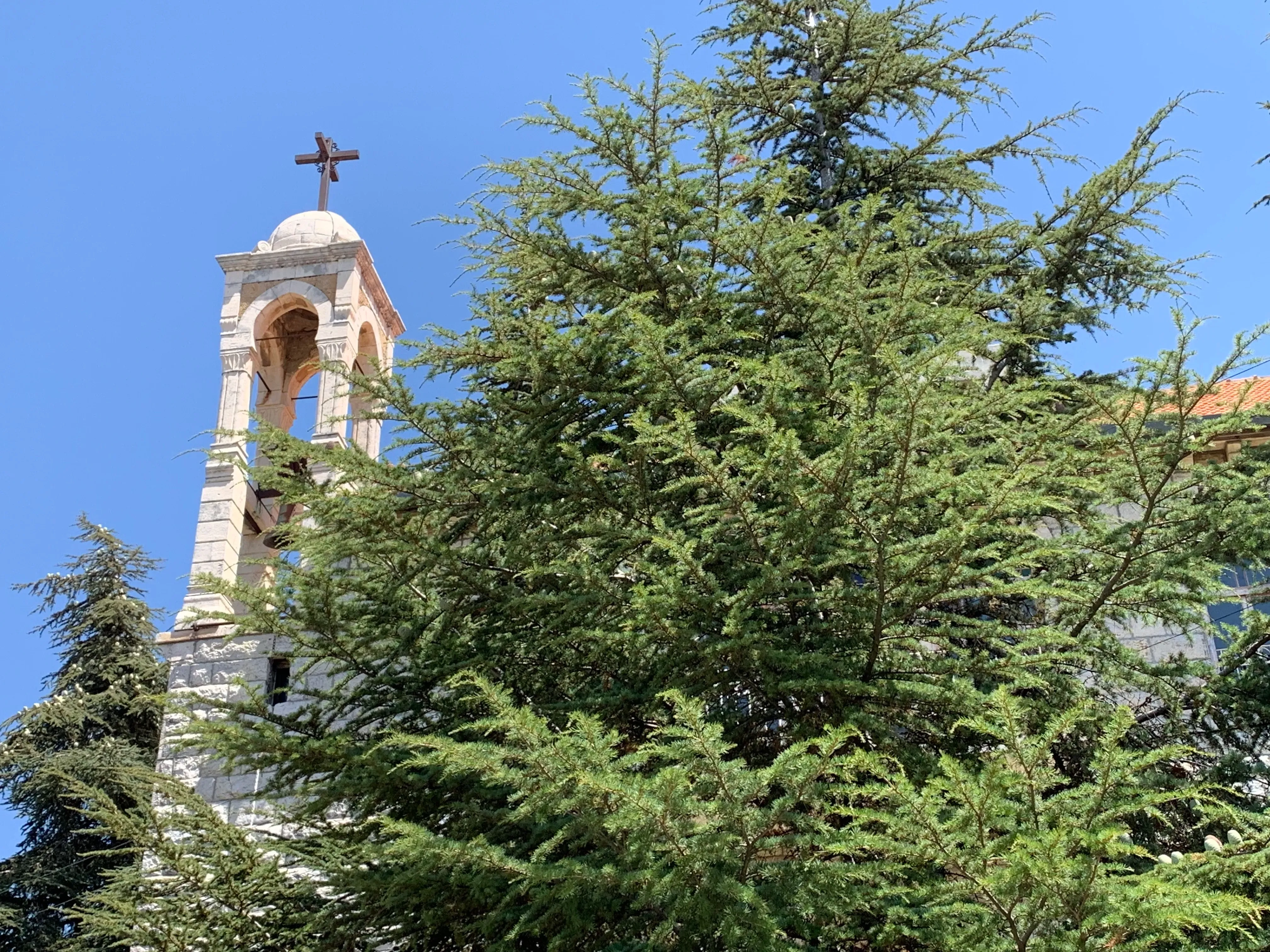 Ain Zhalta