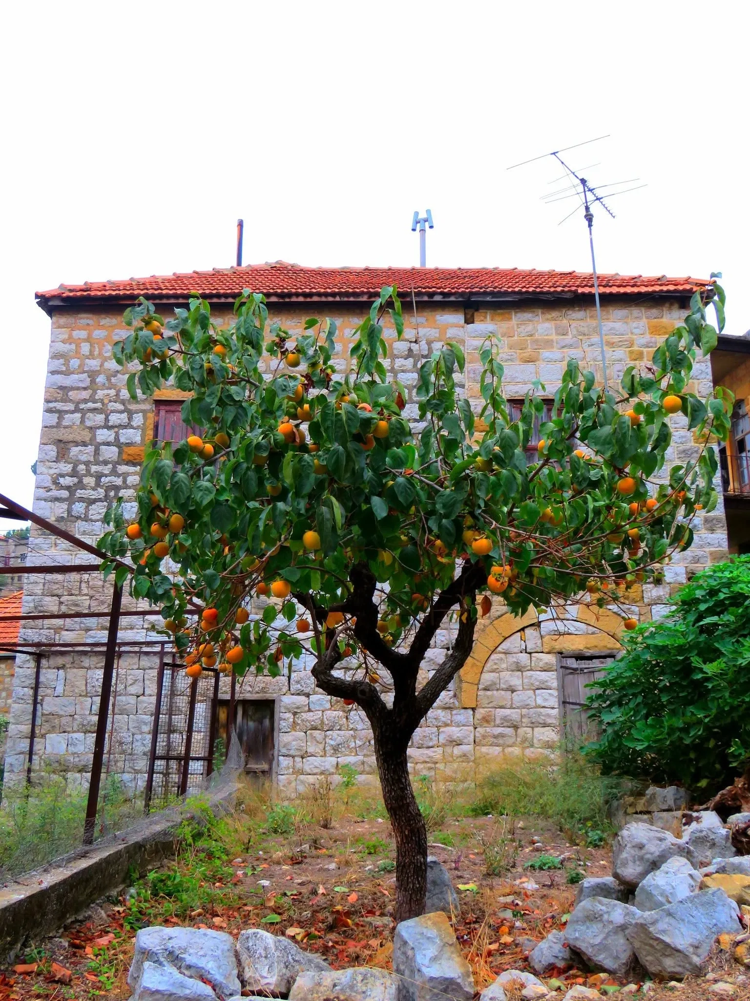 Beit Chabab