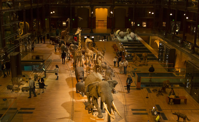 Grande Galerie de l'évolution