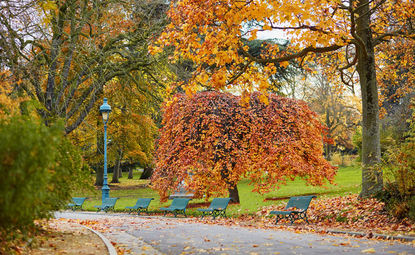 Parc Montsouris
