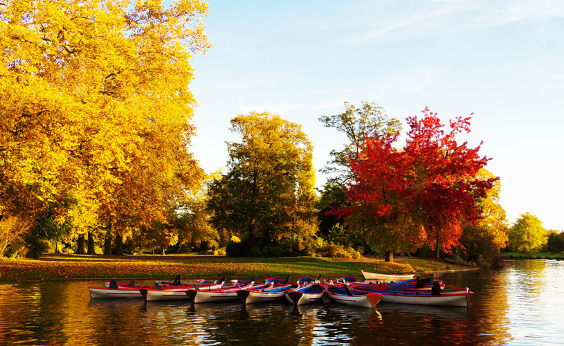 Bois de Vincennes