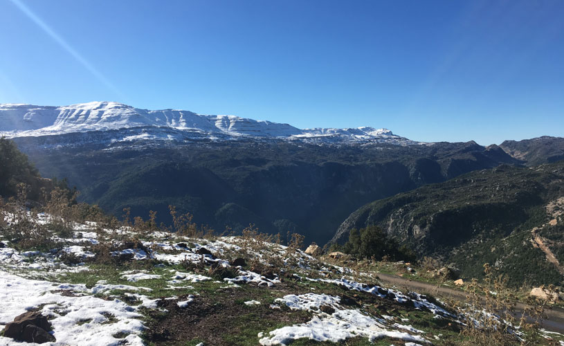 Viewpoint on valley and Jabal Mneitra