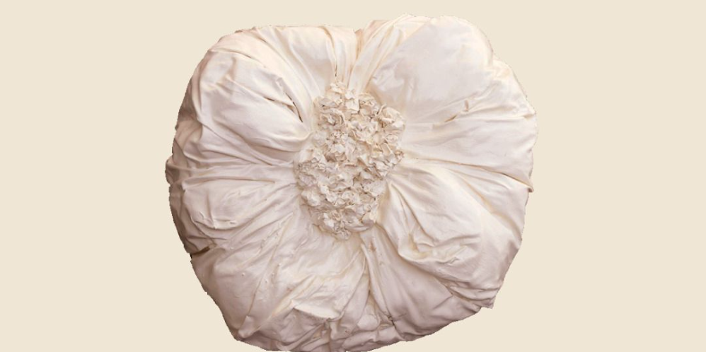 Flowers Blossomed out of Broken Concrete