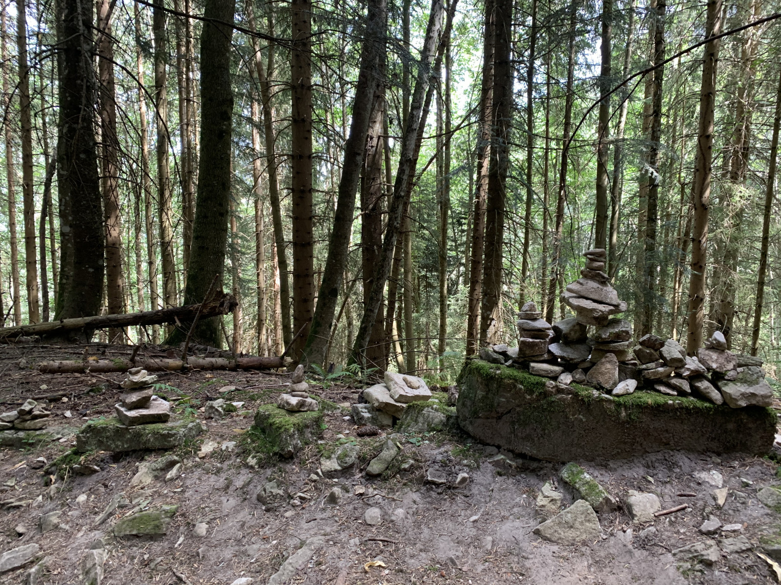 balade-a-valchevriere-sur-les-traces-des-resistants-du-vercors-2021-05-12-609ba498970a6.jpg