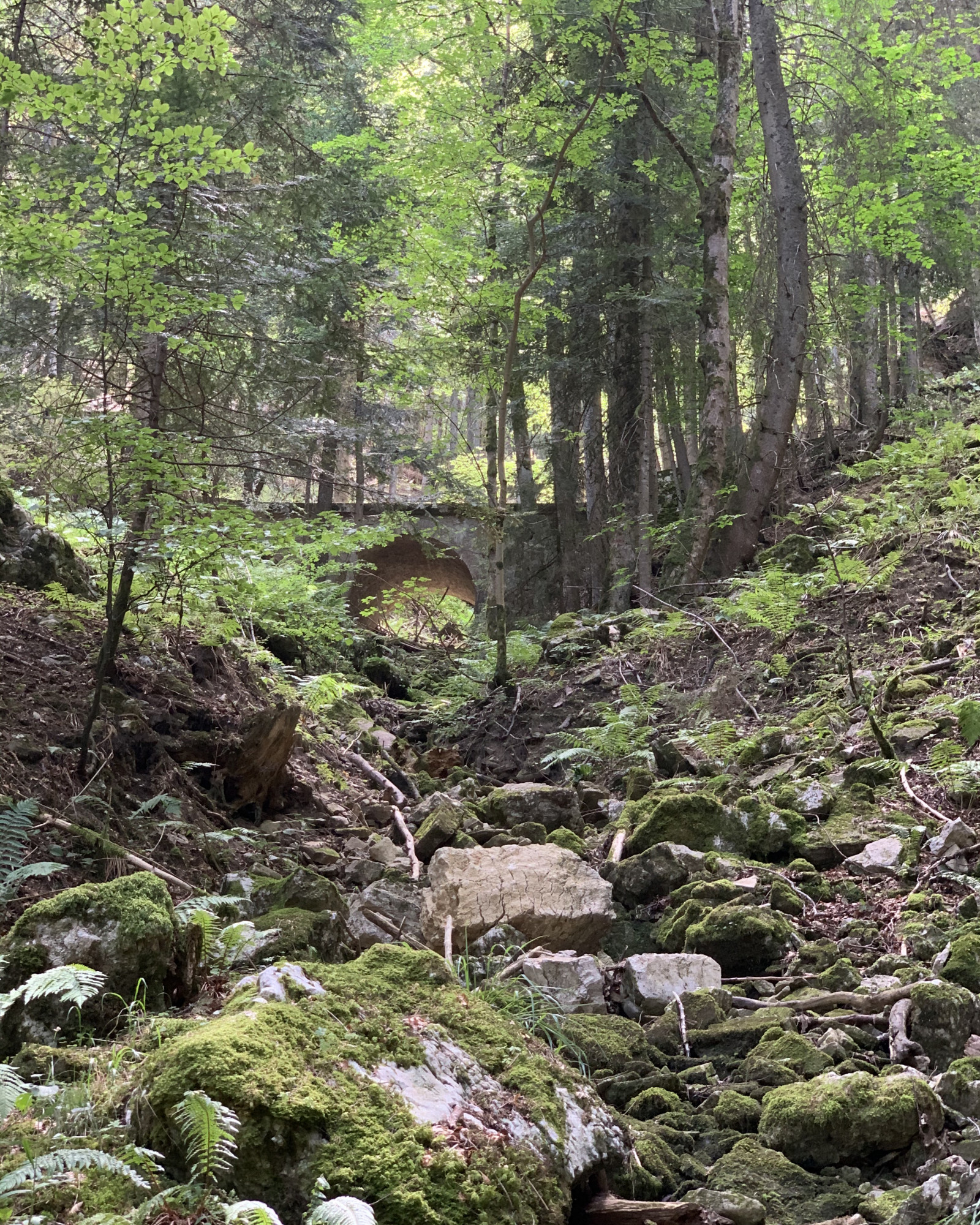 balade-a-valchevriere-sur-les-traces-des-resistants-du-vercors-2021-05-12-609ba59f9d665.jpg