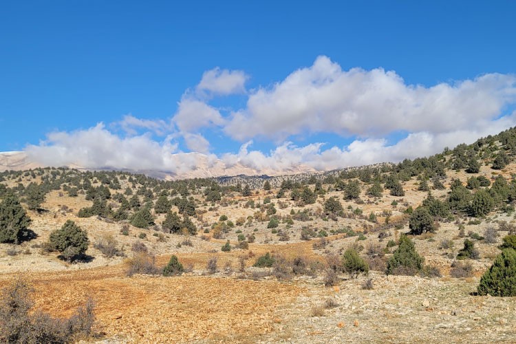 boukaat-loubnan-trail-north-beqaa-trail-barka-ouyoune-orgosh-2023-10-07-65215776e9831.jpg