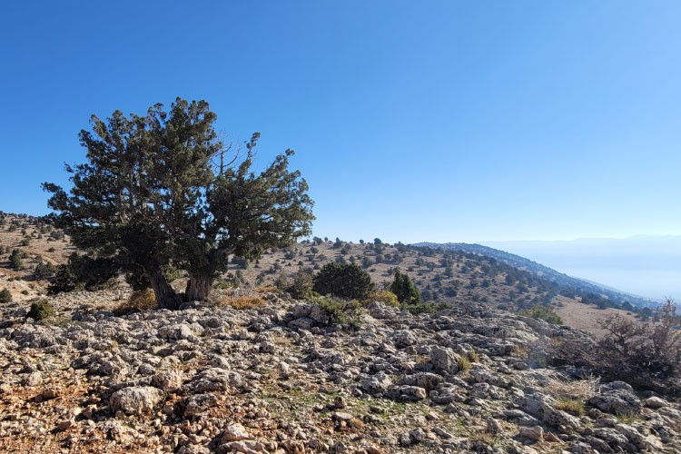 boukaat-loubnan-trail-north-beqaa-trail-barka-ouyoune-orgosh-2023-10-07-652157777081a.jpg