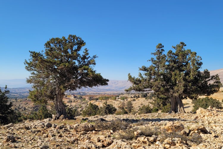 boukaat-loubnan-trail-north-beqaa-trail-barka-ouyoune-orgosh-2023-10-07-65215777b5be3.jpg