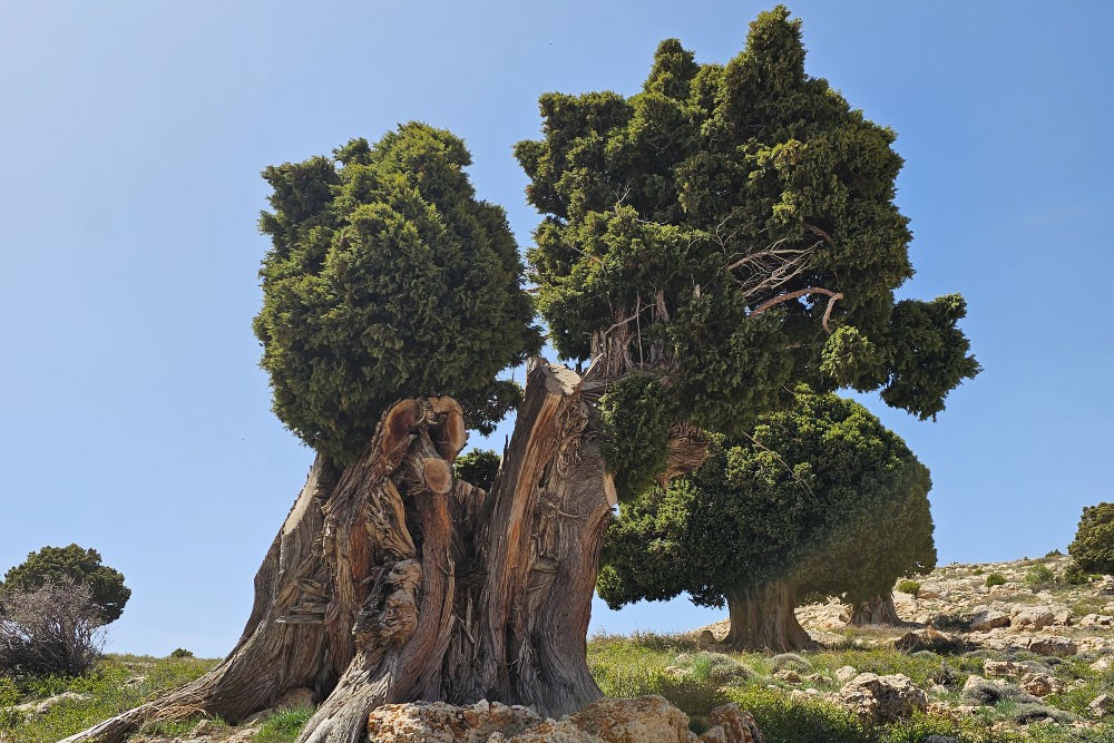 boukaat-loubnan-trail-north-beqaa-trail-hermel-to-kornet-el-ashra-2023-10-05-651efecfd015d.jpg