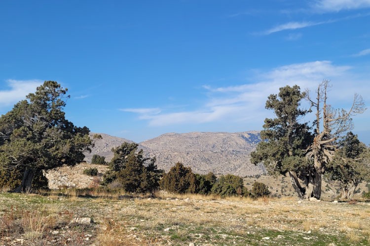boukaat-loubnan-trail-north-beqaa-trail-marjhine-to-brissa-2023-10-05-651efb6b84d39.jpg
