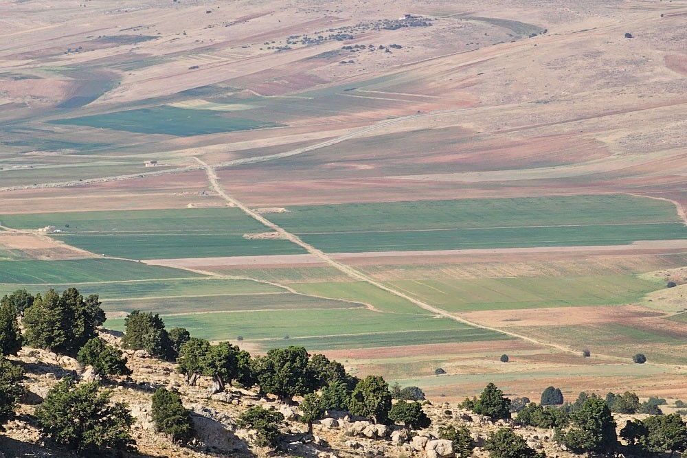 boukaat-loubnan-trail-north-beqaa-trail-ouyoune-orgosh-kornet-el-sawda-2023-10-04-651da1afa15bd.jpg