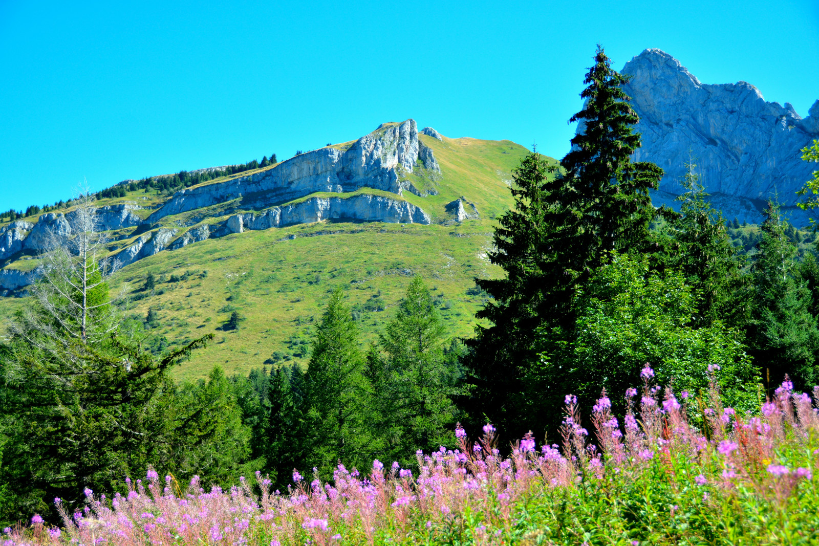 la-traversee-du-vercors-a-pied-par-le-gr91-2021-06-13-60c5cbef5dd9b.jpg