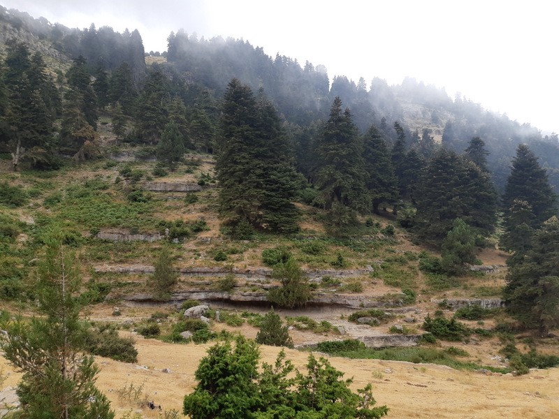 lmt-section-1-el-qammouaa-to-el-qobayat-2023-09-03-64f45e8bd09a8.jpeg