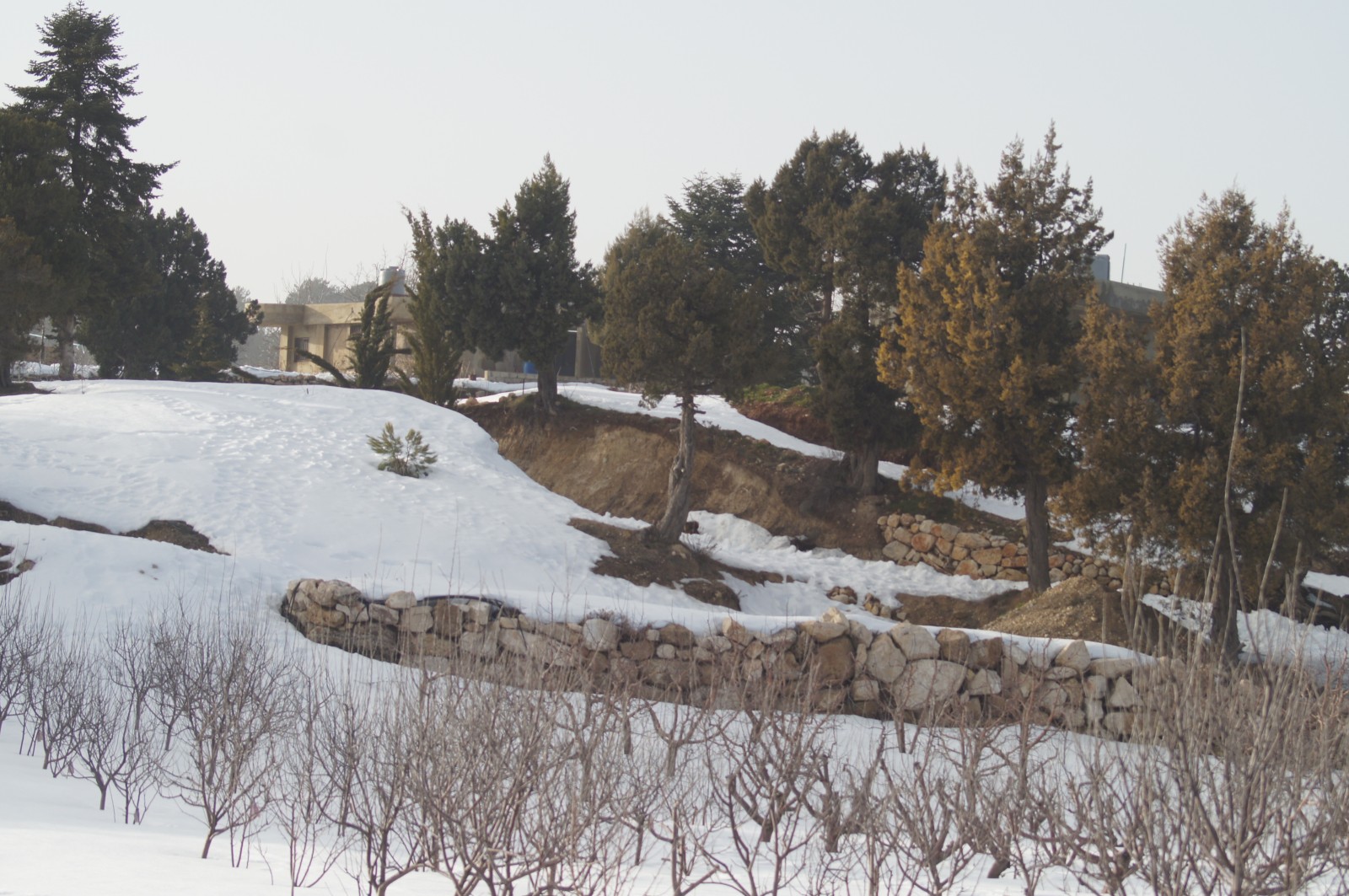 lmt-section-2-from-el-qammouaa-to-el-qemmamine-2023-09-03-64f4687e45a6e.jpg
