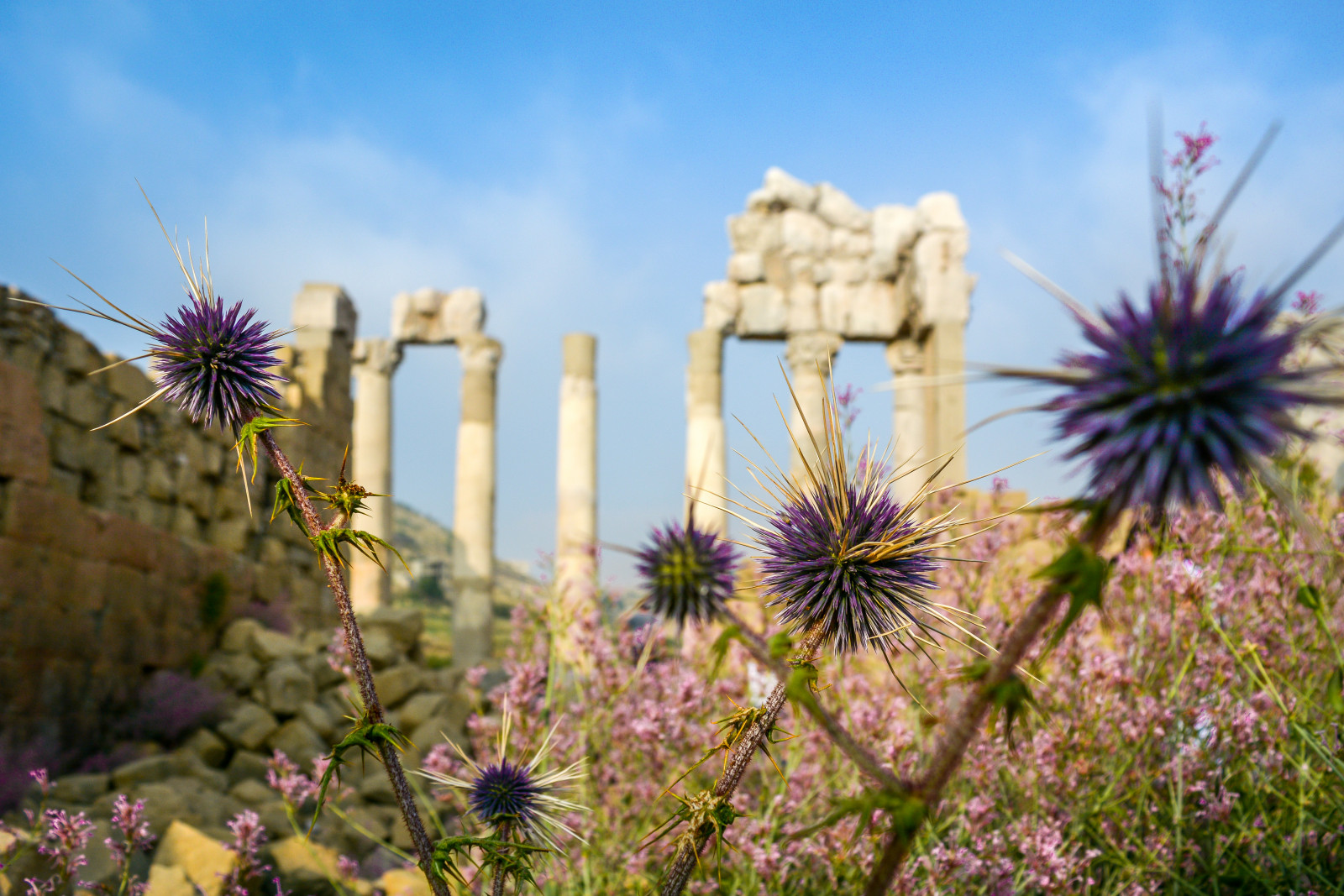Le temple d'Atargatis à Faqra - MOOVTOO Guide
