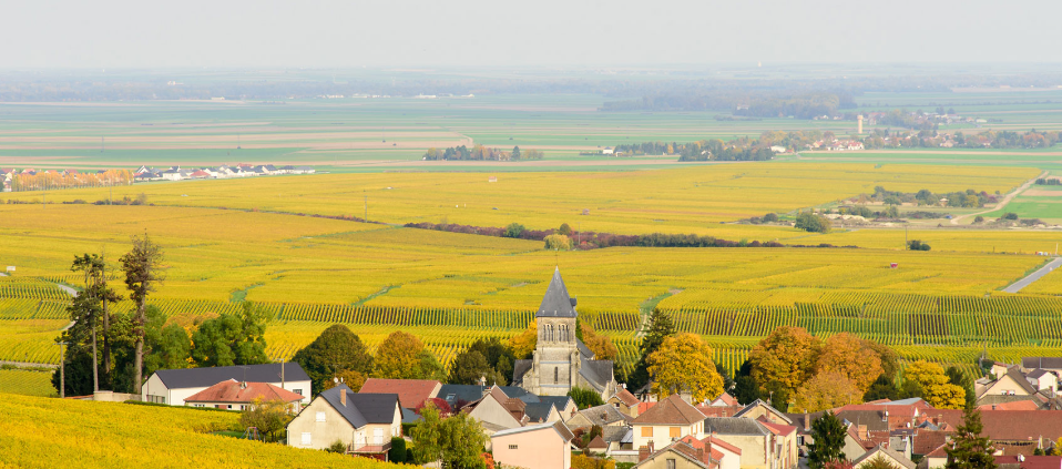 Découvrez l’Aube, au cœur de la Champagne
