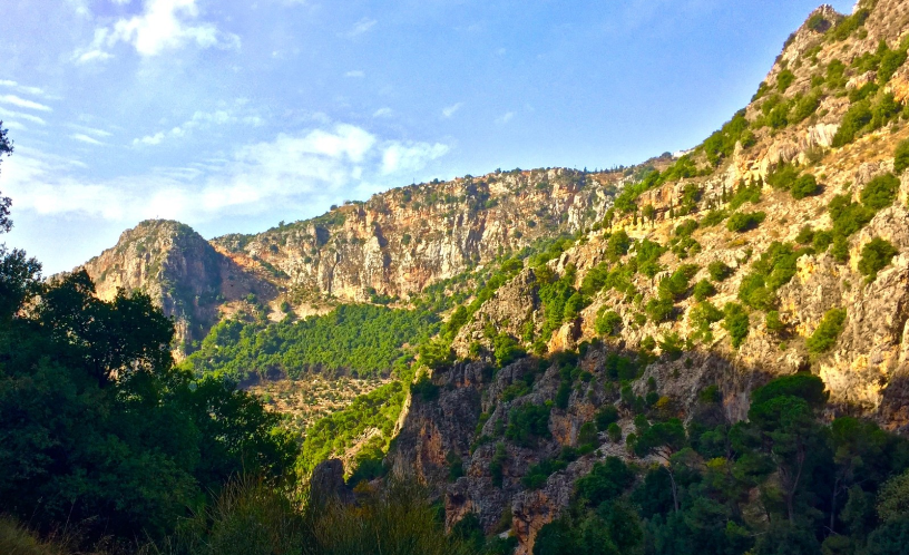 LMT Section 6: From Qozhaya to Horsh Ehden