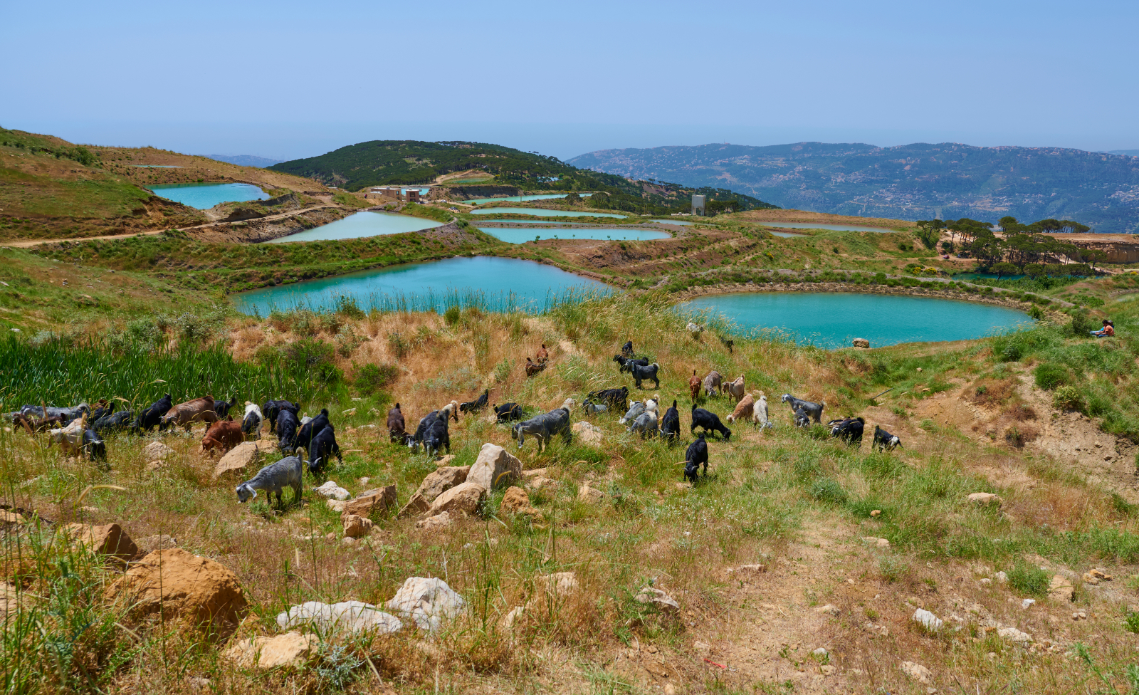 Falougha Lakes